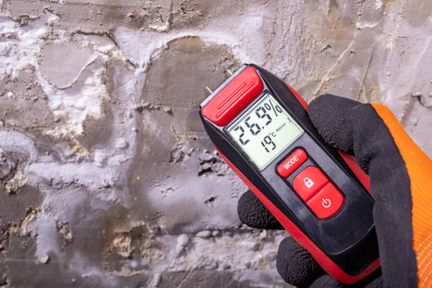 Best Emergency Mold Removal  in Arnold Line, MS