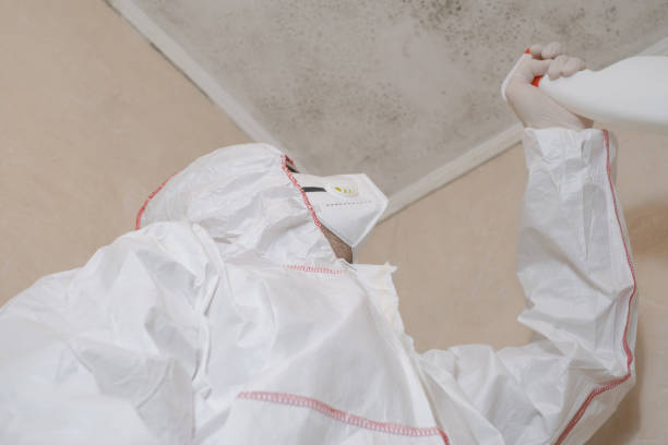 Best Home Mold Removal  in Arnold Line, MS